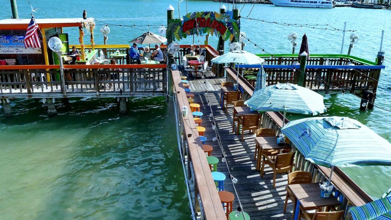 C7-Dolphin Βίλα St. Pete Beach Εξωτερικό φωτογραφία